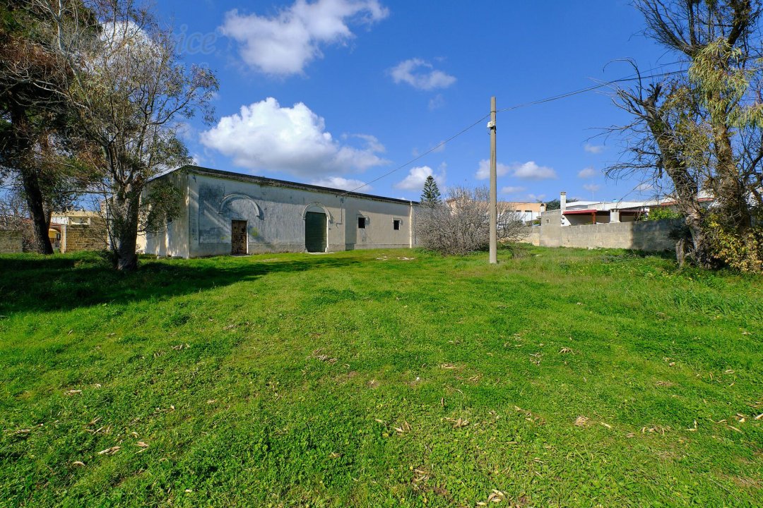 For sale mansion in countryside Specchia Puglia foto 9