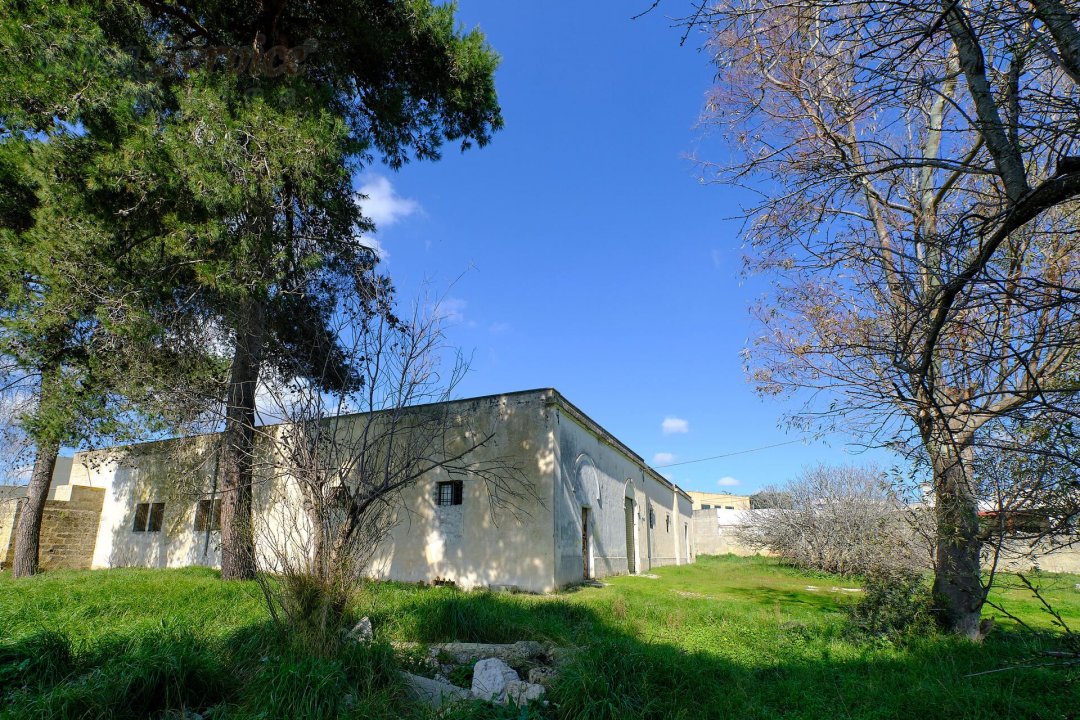 For sale mansion in countryside Specchia Puglia foto 13