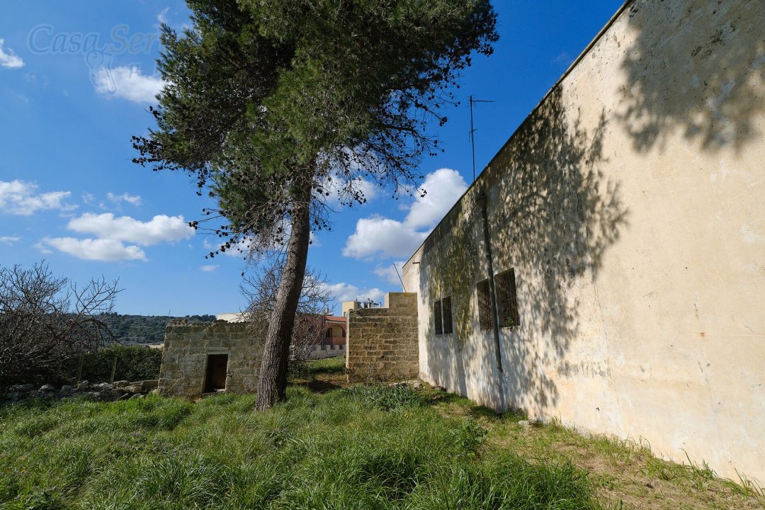 For sale mansion in countryside Specchia Puglia foto 17