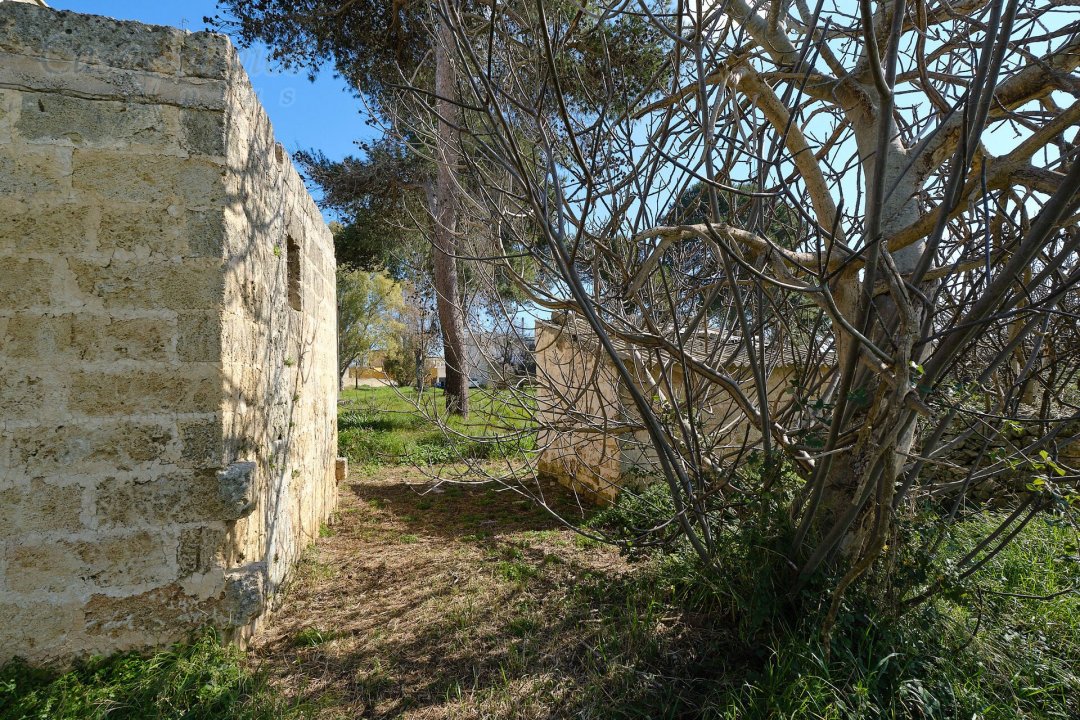 Se vende palacio in campo Specchia Puglia foto 23