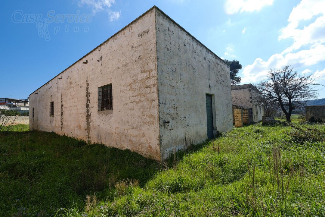 For sale mansion in countryside Specchia Puglia foto 31
