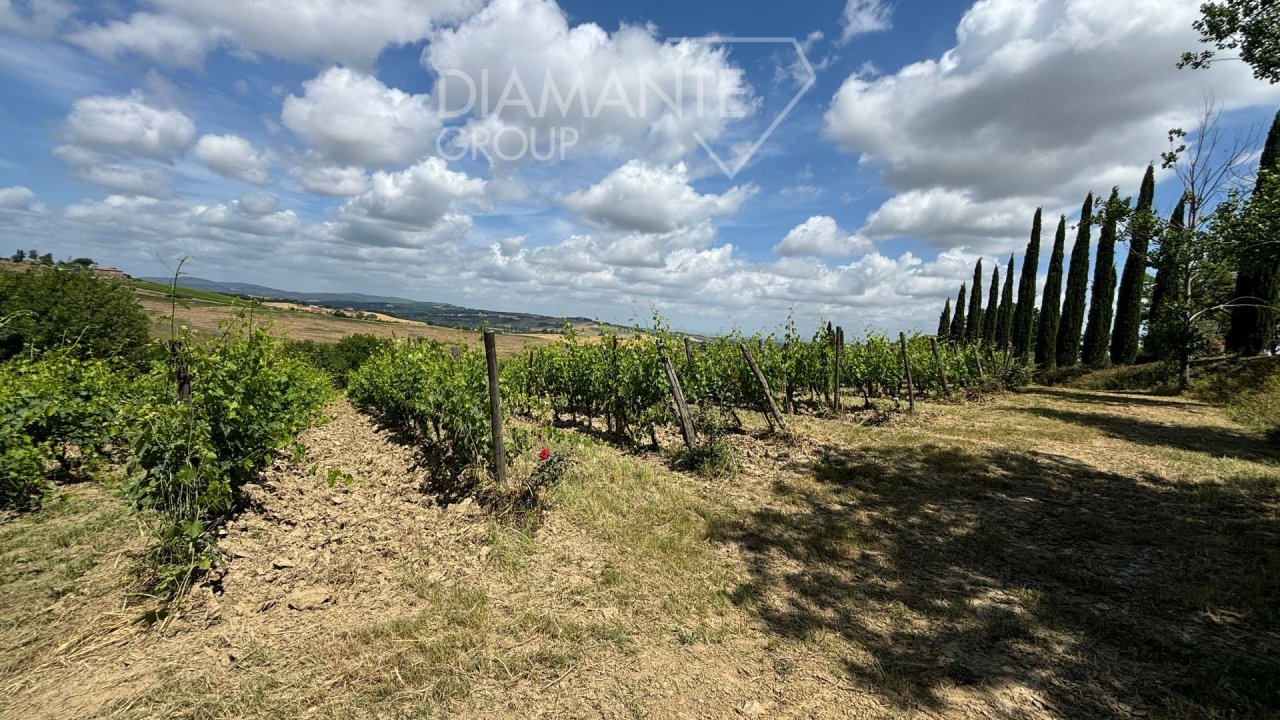 For sale real estate transaction in countryside Montalcino Toscana foto 16