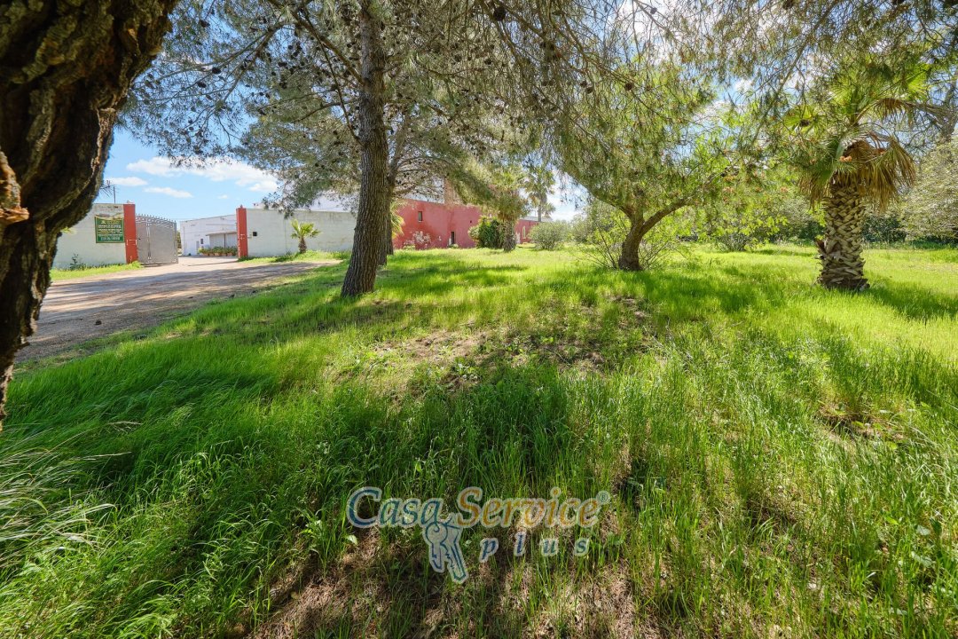 For sale villa in countryside Oria Puglia foto 6