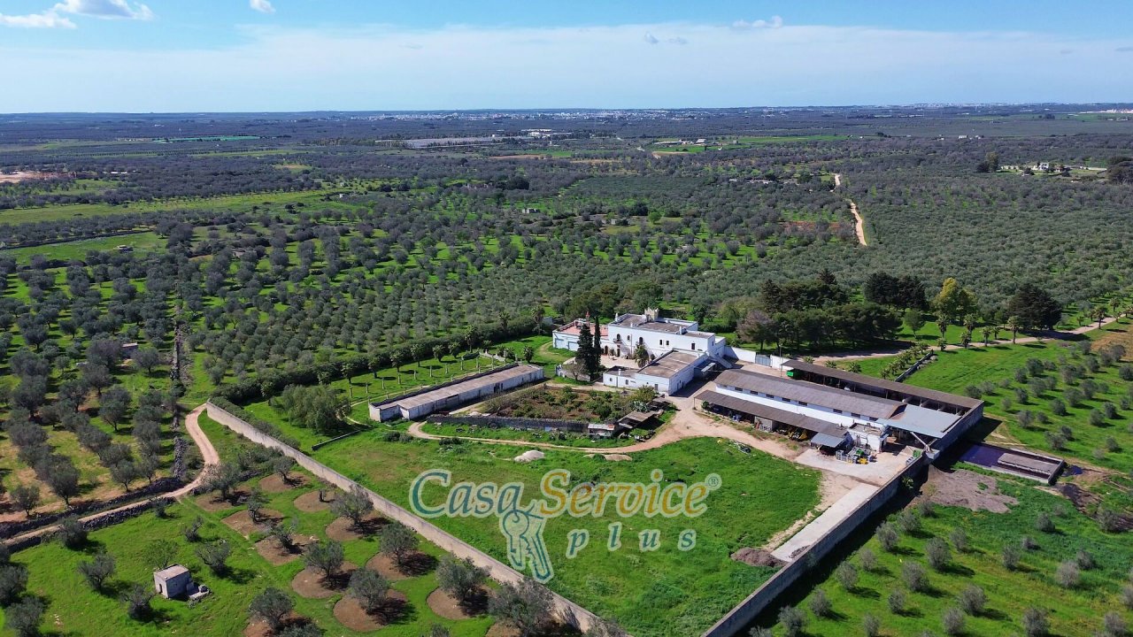 Zu verkaufen villa in landschaft Oria Puglia foto 138