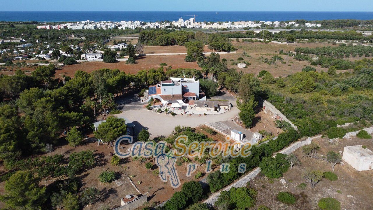 Se vende villa in campo Gallipoli Puglia foto 55