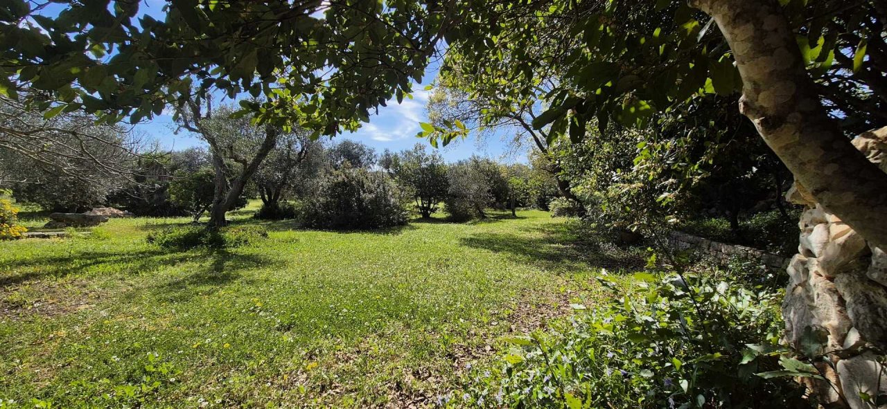 For sale villa in countryside Ceglie Messapica Puglia foto 9