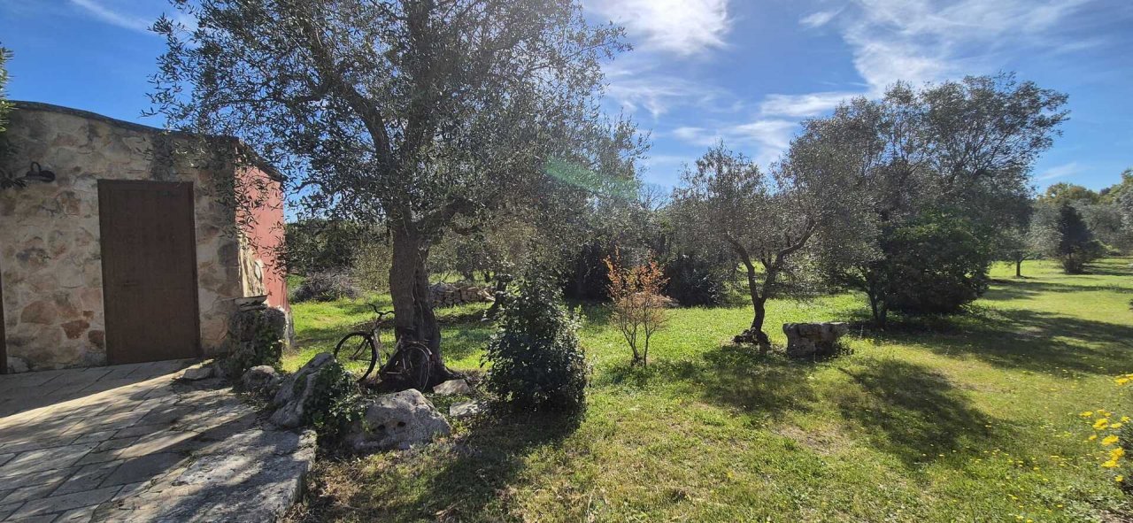For sale villa in countryside Ceglie Messapica Puglia foto 15