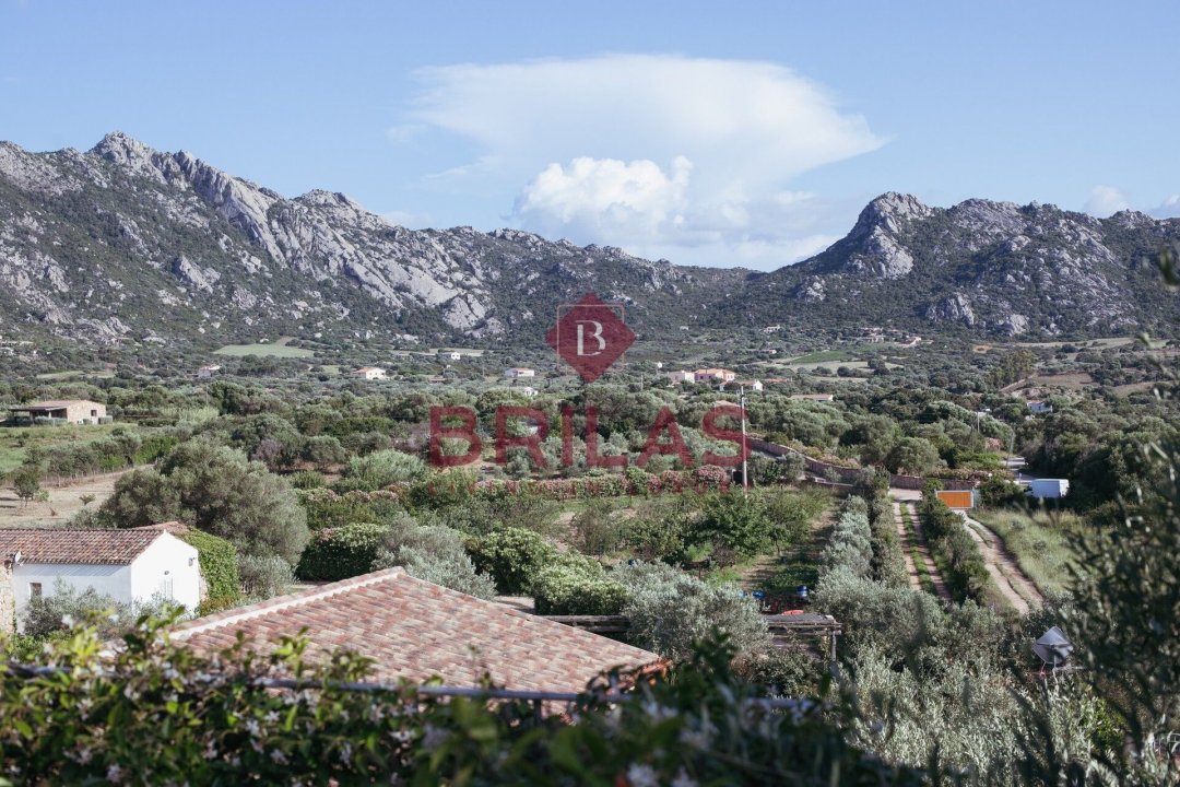 Zu verkaufen villa in ruhiges gebiet Golfo Aranci Sardegna foto 29