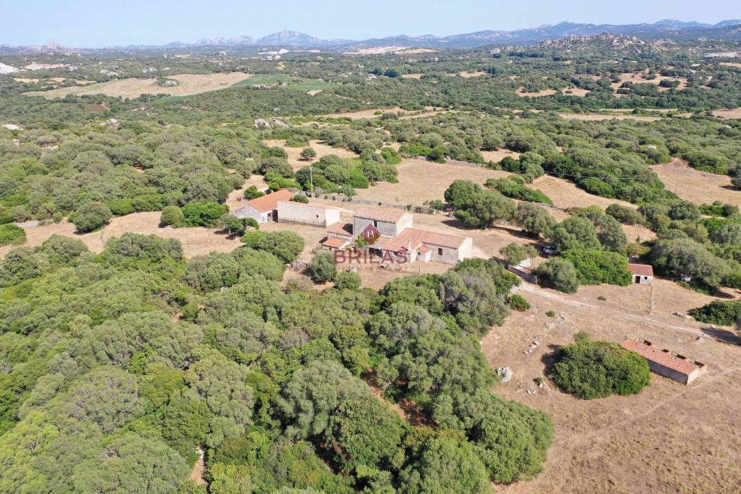 For sale land in countryside Luogosanto Sardegna foto 19