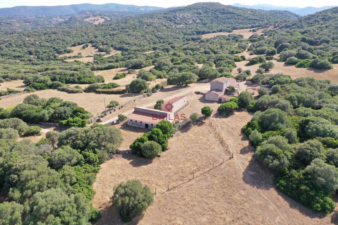 Zu verkaufen land in landschaft Luogosanto Sardegna foto 20