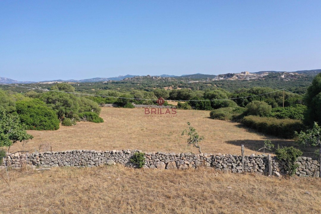 Zu verkaufen land in landschaft Luogosanto Sardegna foto 21