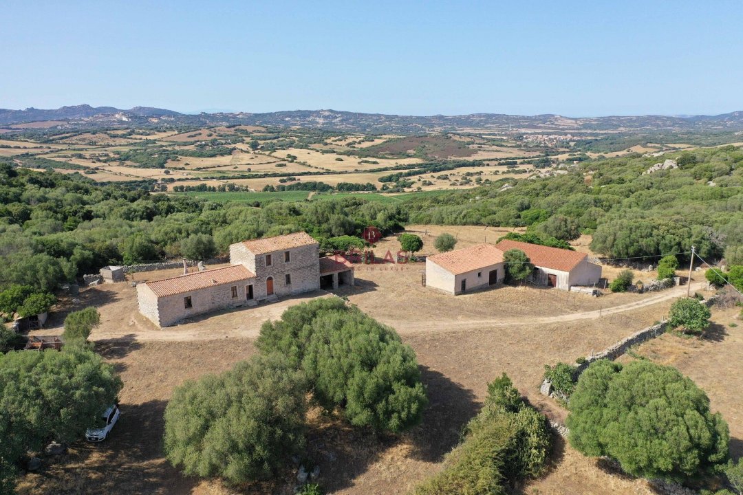Para venda terreno in interior Luogosanto Sardegna foto 2
