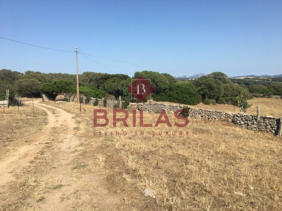 Zu verkaufen land in landschaft Luogosanto Sardegna foto 24