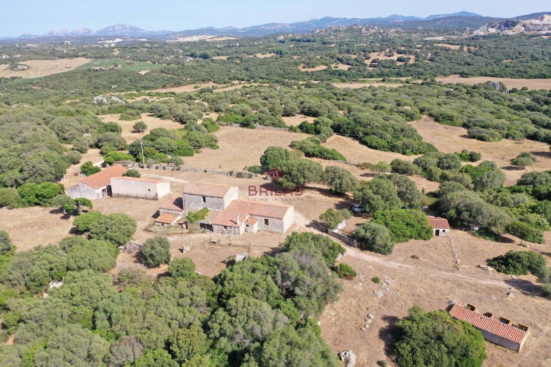 Zu verkaufen land in landschaft Luogosanto Sardegna foto 29
