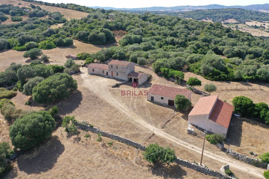 For sale land in countryside Luogosanto Sardegna foto 3