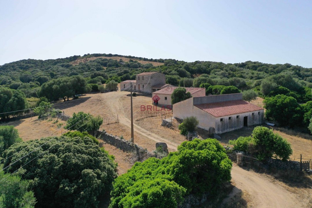 For sale land in countryside Luogosanto Sardegna foto 4