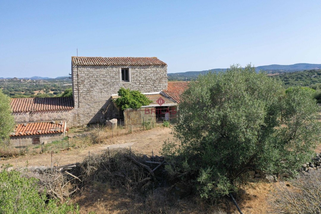 Para venda terreno in interior Luogosanto Sardegna foto 5