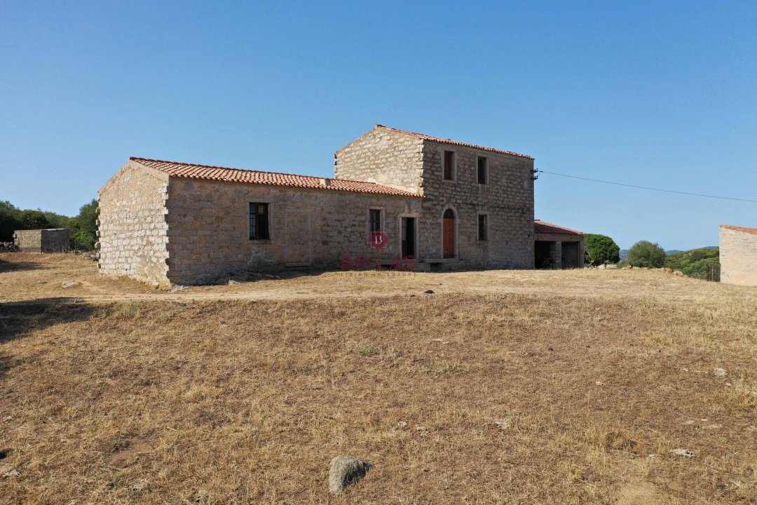For sale land in countryside Luogosanto Sardegna foto 7
