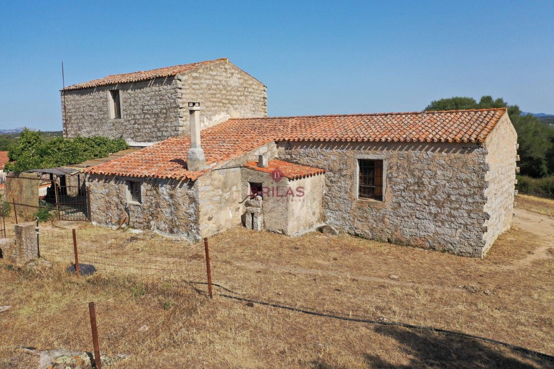 For sale land in countryside Luogosanto Sardegna foto 9