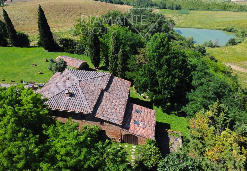 A vendre transaction immobilière in campagne Buonconvento Toscana foto 5