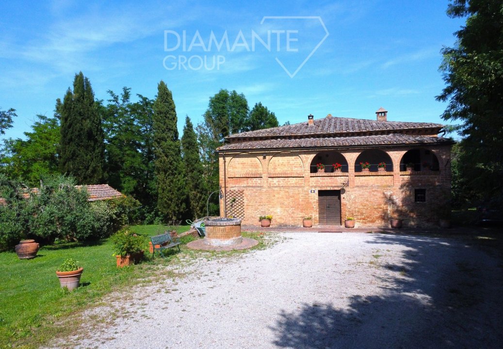 For sale real estate transaction in countryside Buonconvento Toscana foto 6