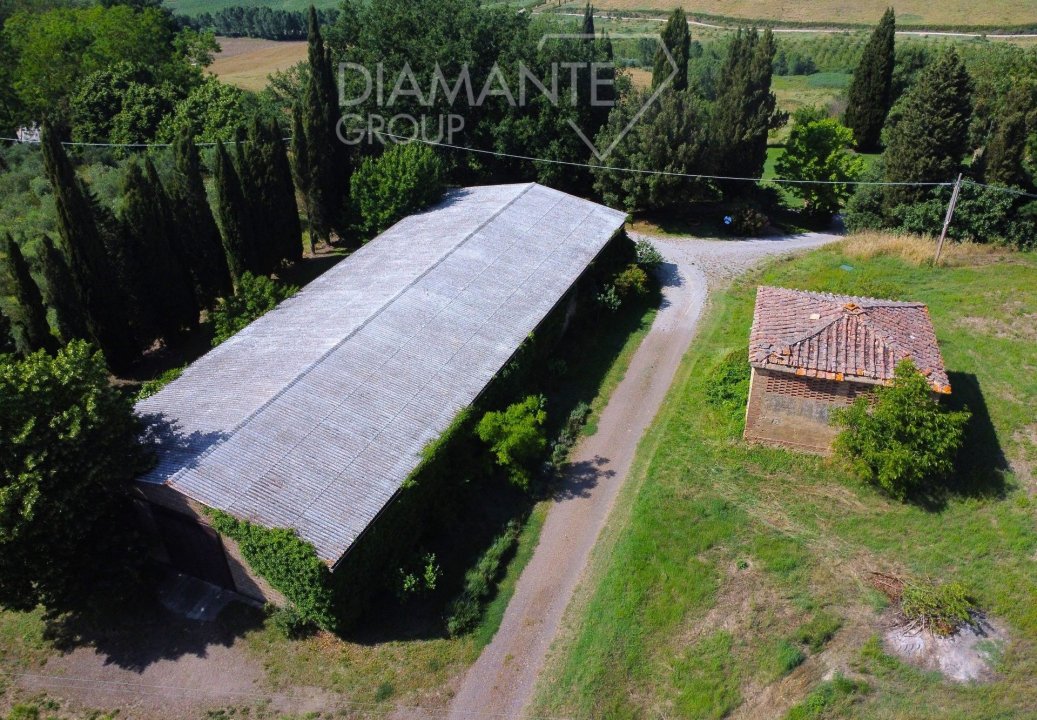 For sale real estate transaction in countryside Buonconvento Toscana foto 7