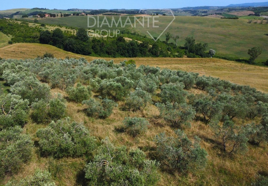 For sale real estate transaction in countryside Buonconvento Toscana foto 29