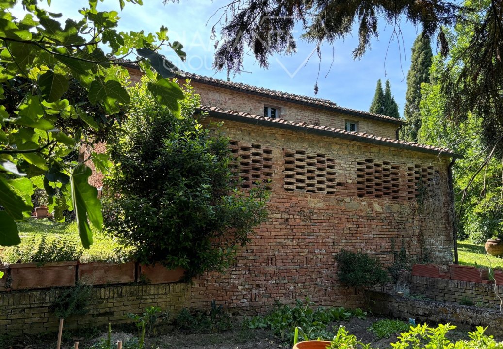 For sale real estate transaction in countryside Buonconvento Toscana foto 13