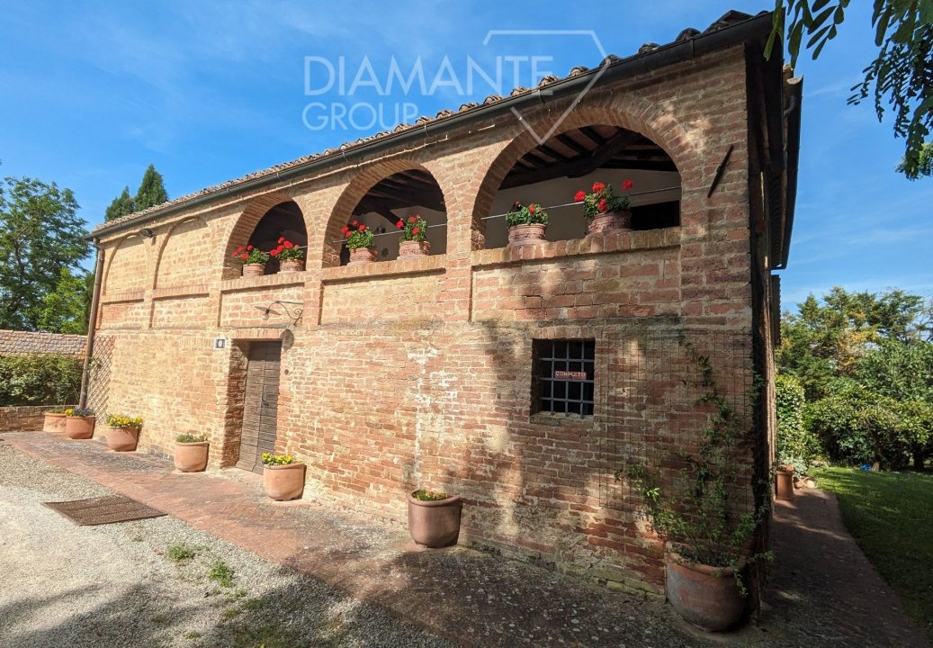 For sale real estate transaction in countryside Buonconvento Toscana foto 16