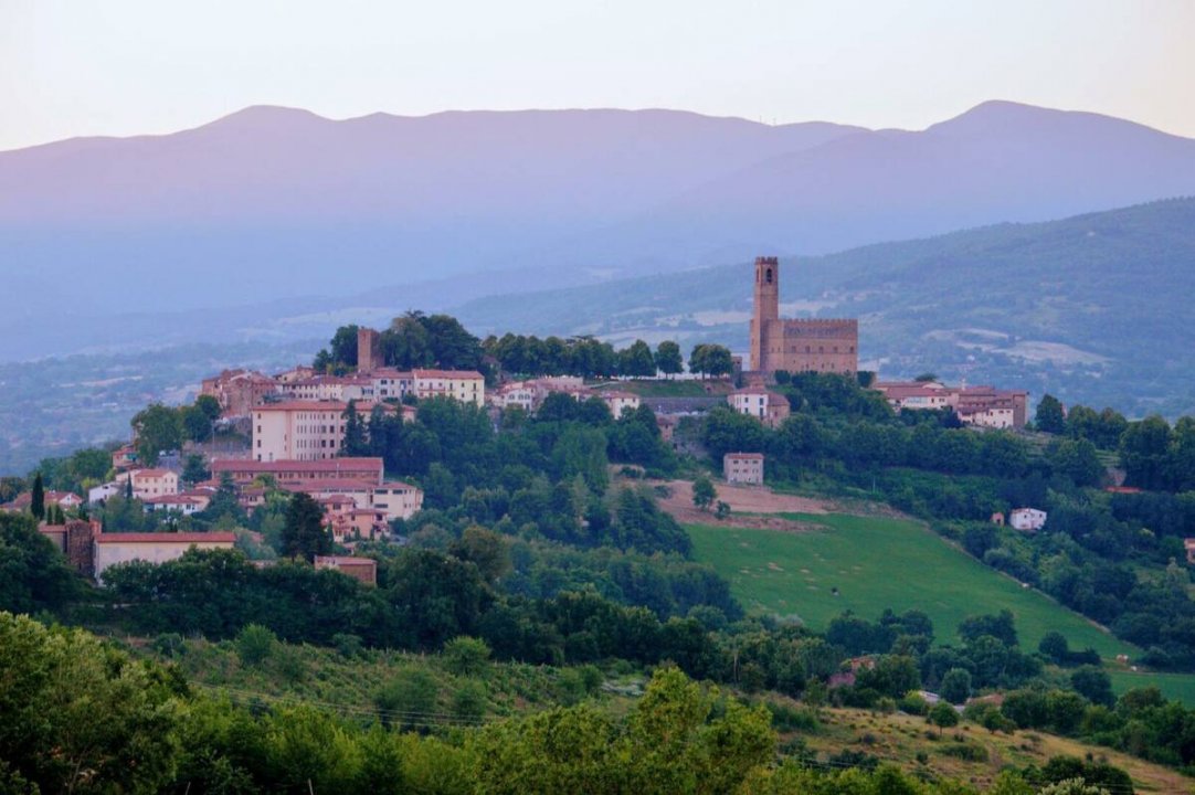 Location courte villa in zone tranquille Arezzo Toscana foto 6