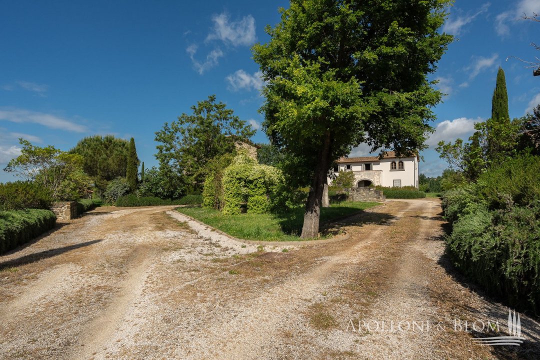 Zu verkaufen villa in landschaft Cortona Toscana foto 7