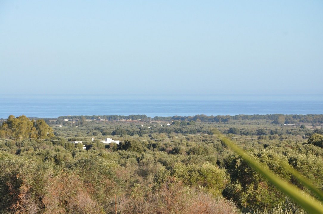 A vendre villa in campagne Carovigno Puglia foto 40