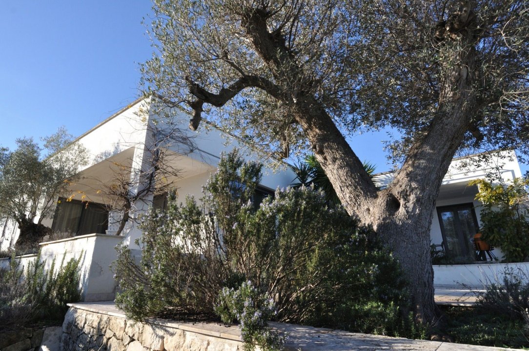 Zu verkaufen villa in landschaft Carovigno Puglia foto 42