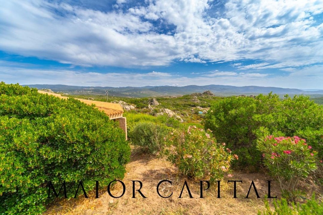 For sale commercial property in quiet zone Santa Teresa Gallura Sardegna foto 22