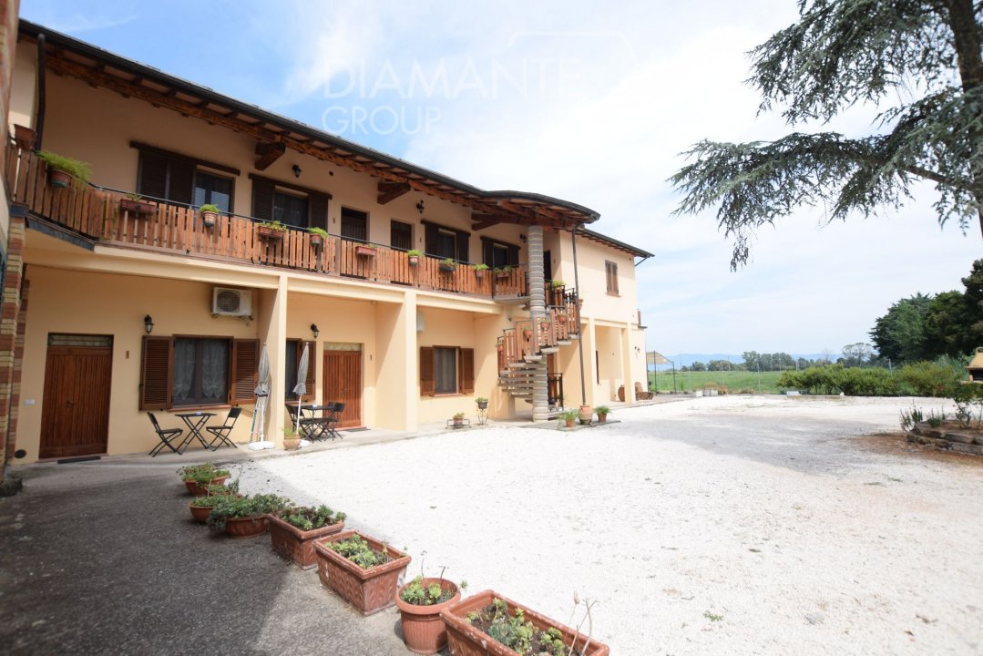 For sale real estate transaction in countryside Castiglione del Lago Umbria foto 6