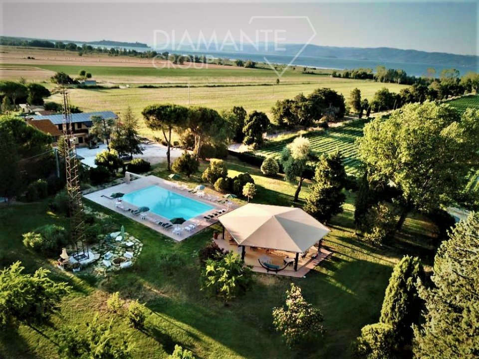 For sale real estate transaction in countryside Castiglione del Lago Umbria foto 4