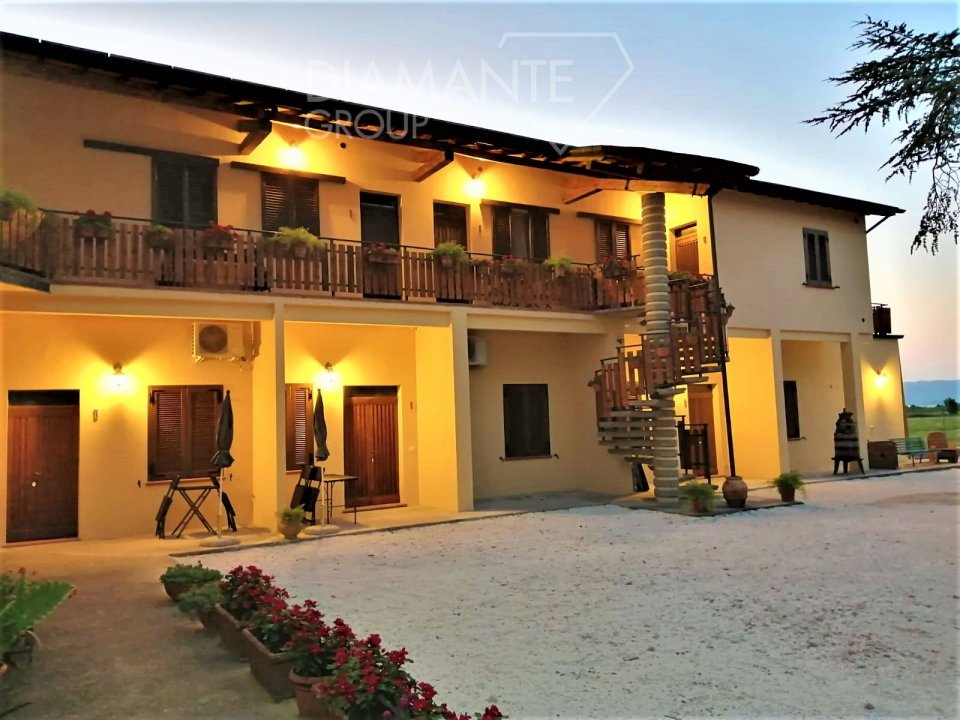 Se vende transacción inmobiliaria in campo Castiglione del Lago Umbria foto 1