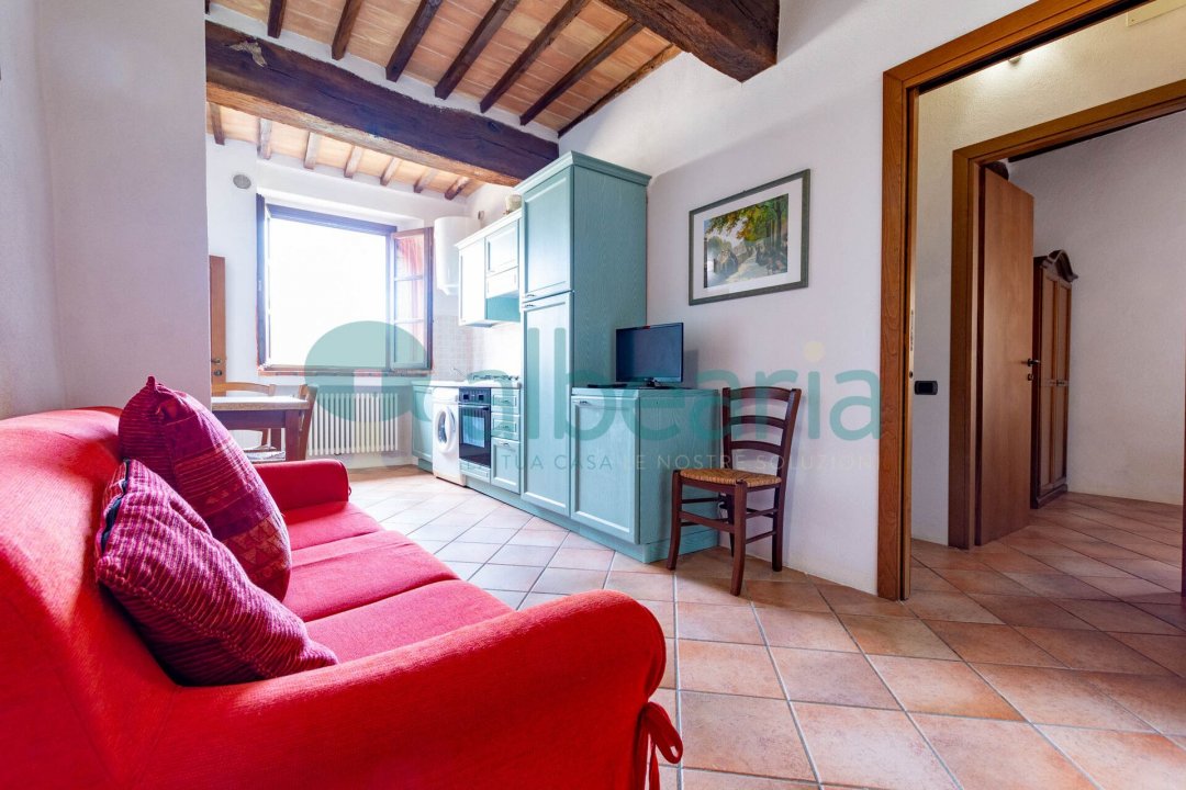 For sale cottage in countryside Castelnuovo di Val di Cecina Toscana foto 15