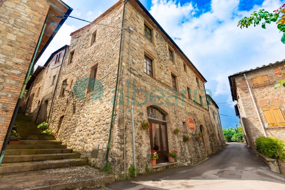 Se vende casale in campo Castelnuovo di Val di Cecina Toscana foto 12