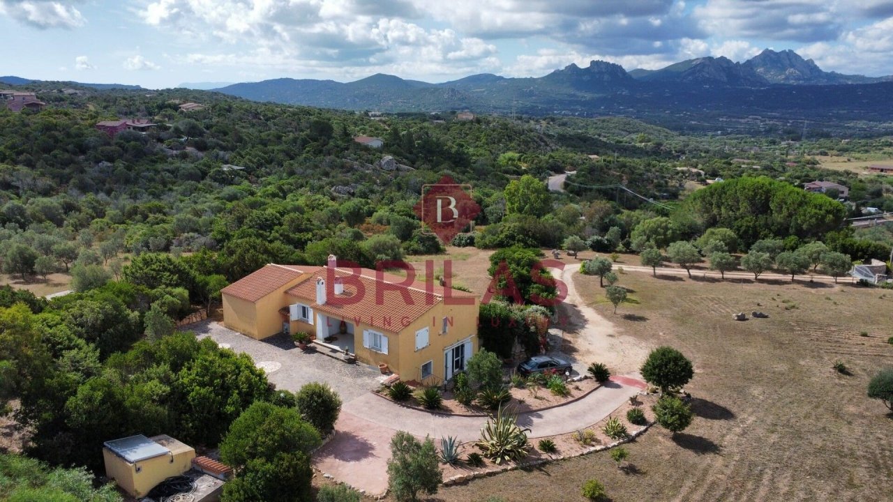 Se vende villa in campo Arzachena Sardegna foto 35