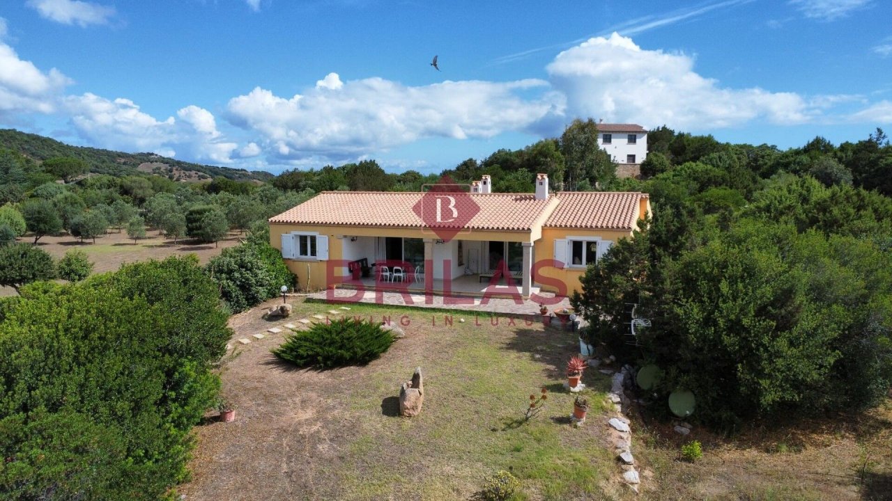 Se vende villa in campo Arzachena Sardegna foto 36