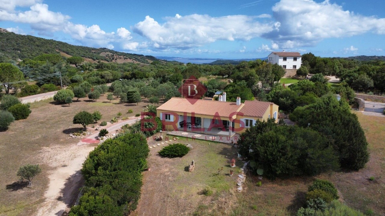 Se vende villa in campo Arzachena Sardegna foto 39