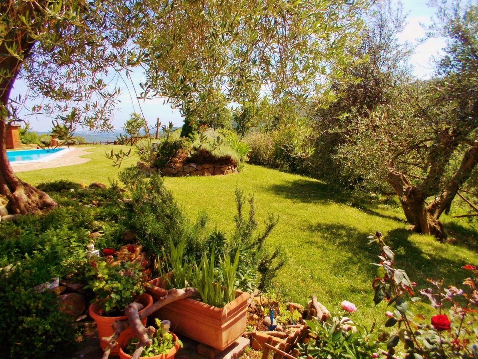 For sale cottage in quiet zone Santa Fiora Toscana foto 4