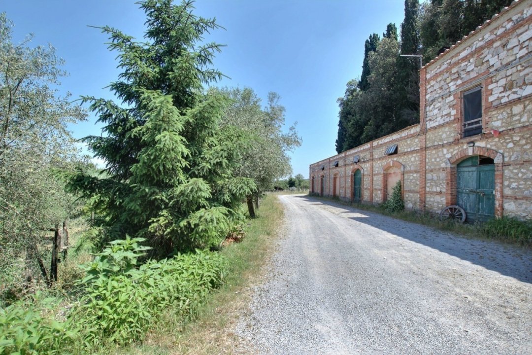 A vendre casale in zone tranquille Rapolano Terme Toscana foto 4