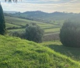 Casale Zone tranquille Casciana Terme Toscana