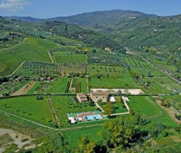 Activité commerciale Zone tranquille Pontassieve Toscana