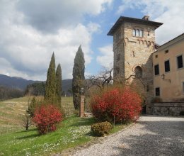 Château Zone tranquille Torreano Friuli-Venezia Giulia