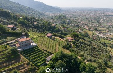 Zu verkaufen Villa Meer Pietrasanta Toscana