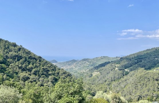 Se vende Villa Zona tranquila Seborga Liguria