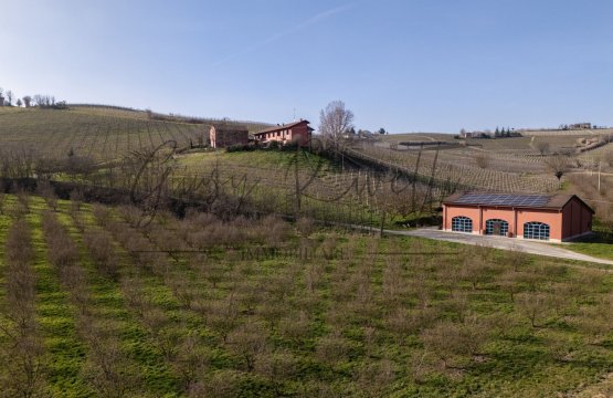 Para venda Atividade comercial Interior Nizza Monferrato Piemonte